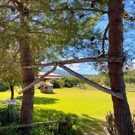 Agriturismo Su Niu Uta Ngoại thất bức ảnh