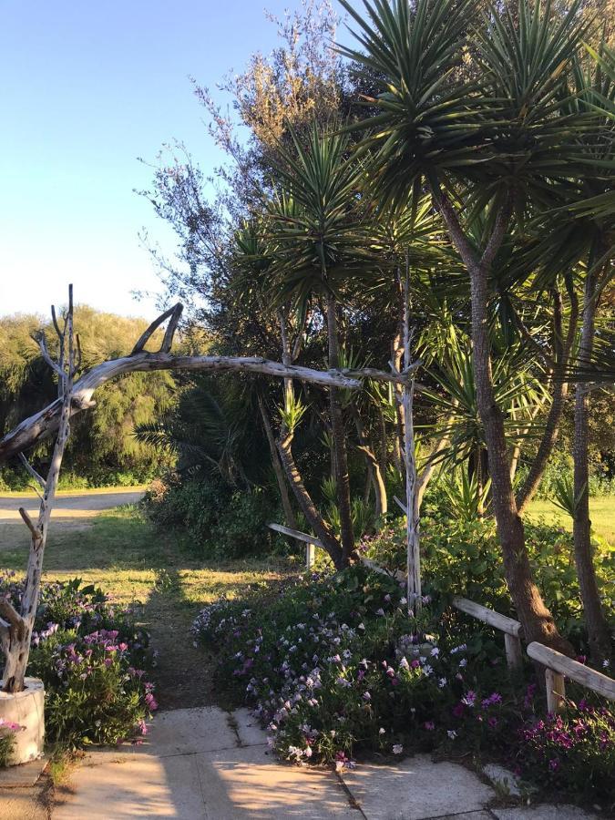 Agriturismo Su Niu Uta Ngoại thất bức ảnh